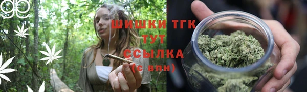 СК Долгопрудный