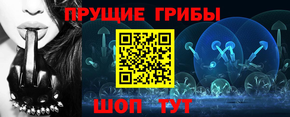 Псилоцибиновые грибы прущие грибы Коммунар